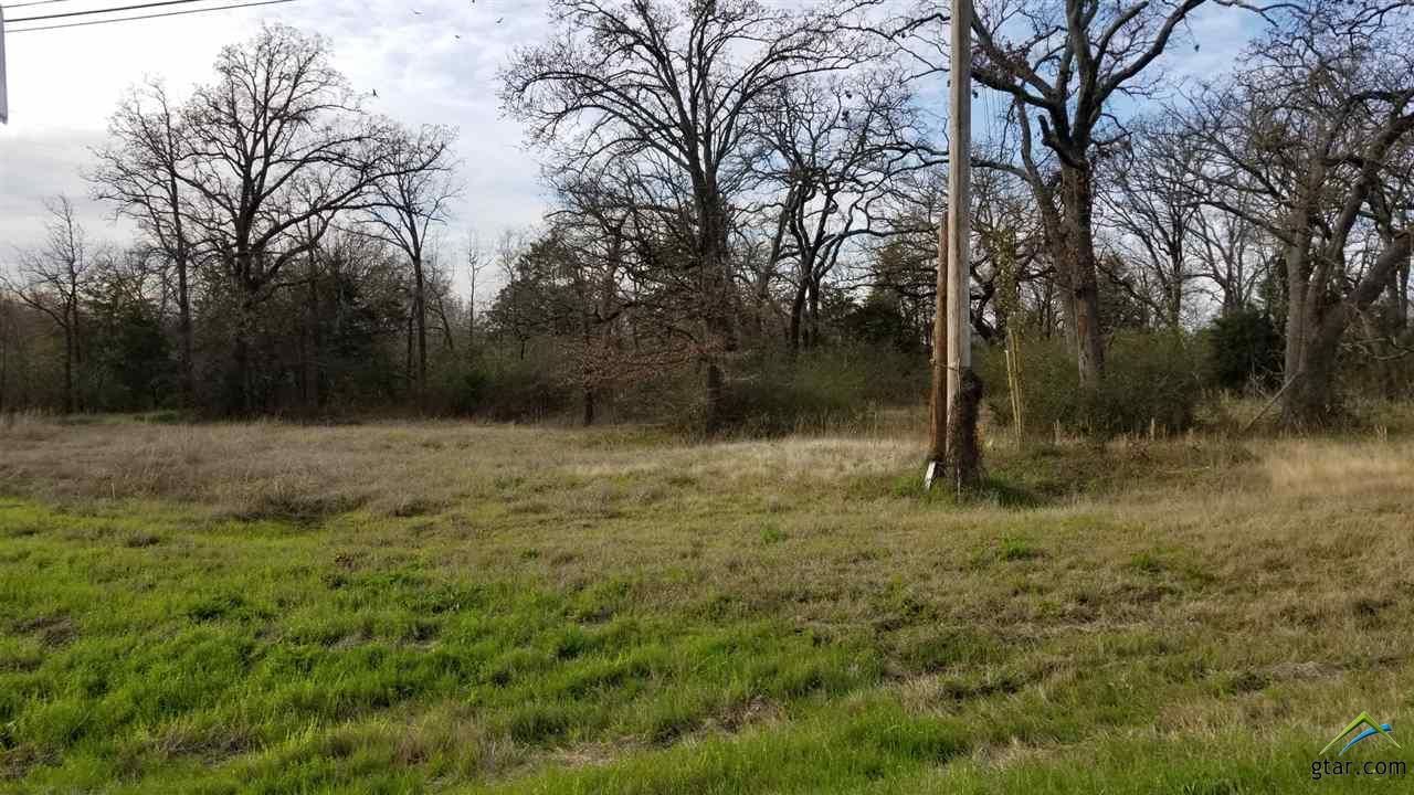 CR 1010 and Hwy 37: CR 1010 and Hwy 37, Mount Vernon, TX 75457